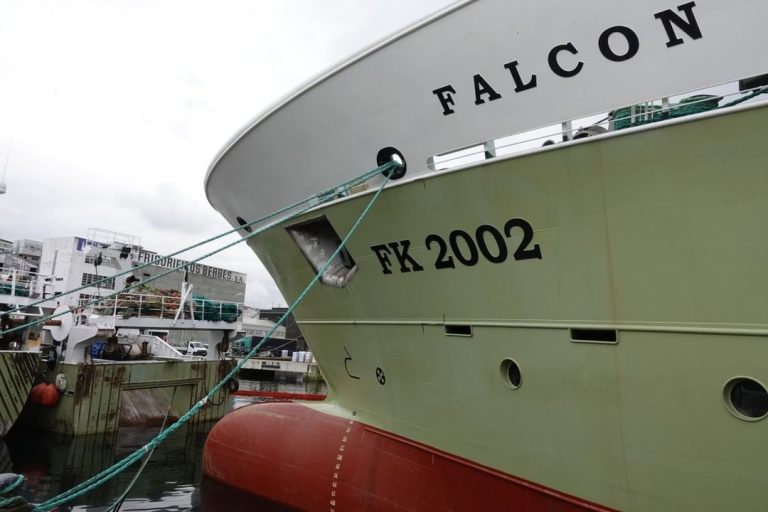 Complejo. Cierre anticipado de la temporada de calamar en Malvinas