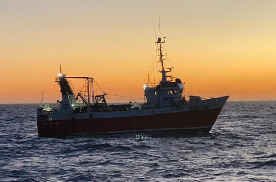 Langostino. Los resultados iniciales de la prospección en las Subáreas 7 Oeste y 13 son desalentadores