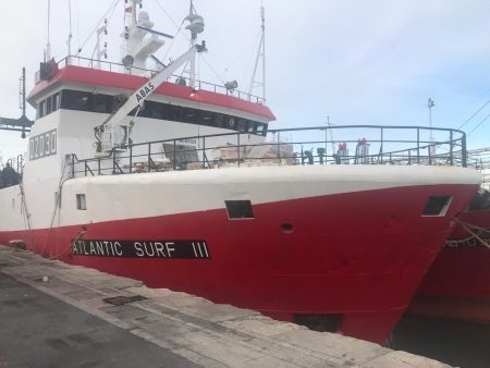 INIDEP eval煤a la vieira patag贸nica en la Unidad de Manejo F