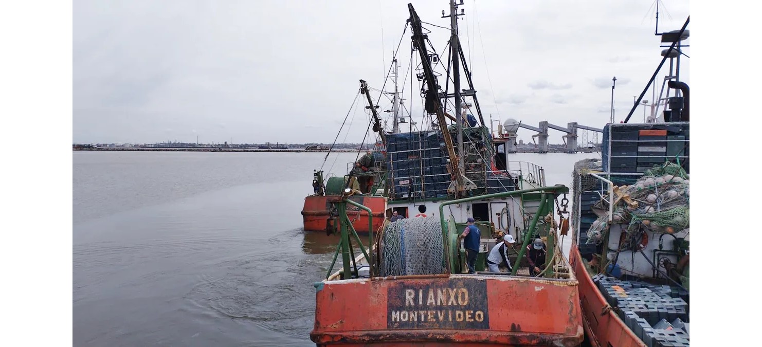 Resolución CTMFM Nro.8/2024. Se prohibió la pesca de calamar en la Zona Común de Pesca