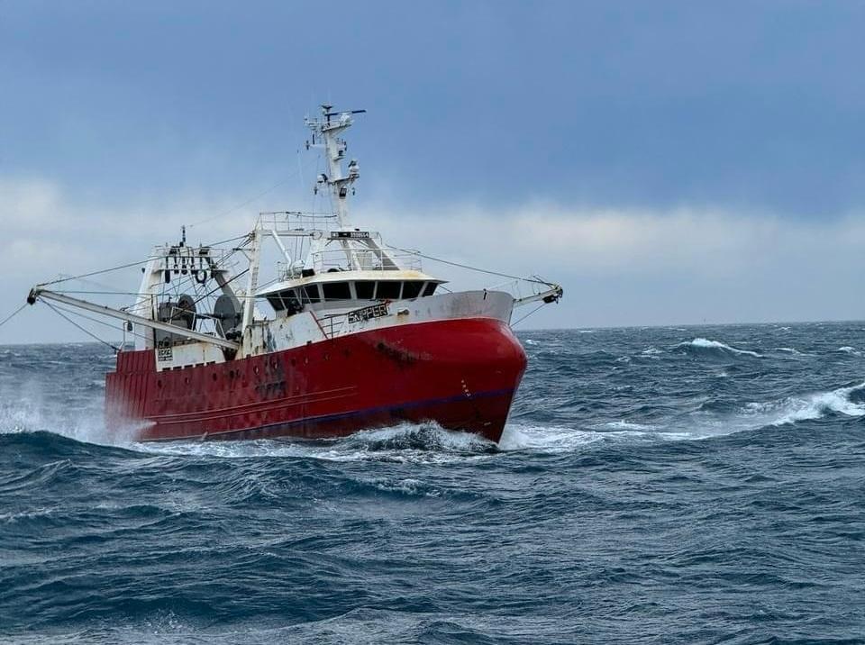 Langostino. Quedaron abiertas automáticamente las subáreas 7 Este, 11 y 15