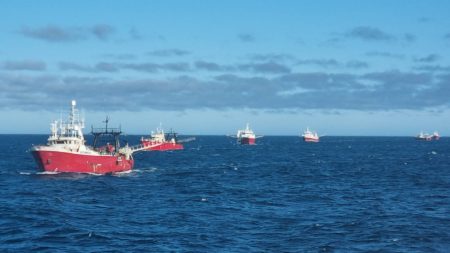 Langostino: Qued贸 abierta la Sub谩rea 7 Oeste para operaciones de pesca comercial