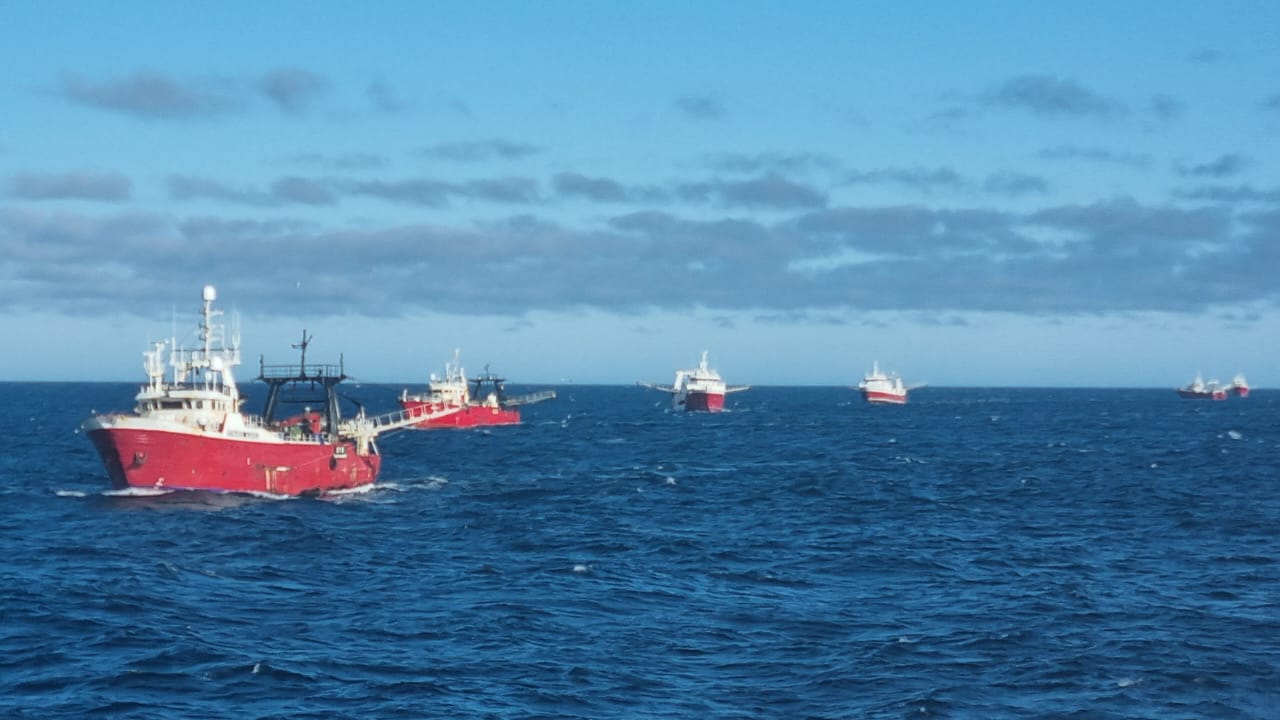 Langostino: Quedó abierta la Subárea 7 Oeste para operaciones de pesca comercial