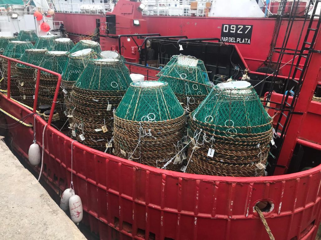 El INIDEP anuncia planes de investigación para la centolla