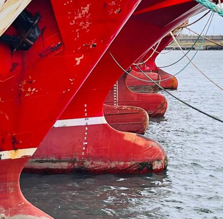 Conflicto SOMU-Congeladores: Se determin贸 continuar con la medida de fuerza