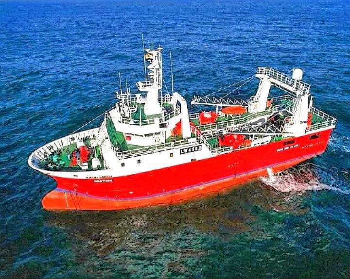 Langostino. Es inminente la finalizaci贸n de la temporada. Cerraron sub谩reas 11 y 4