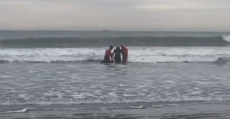 Rescate en Playa Bristol: Operativo exitoso de la Prefectura Naval Argentina