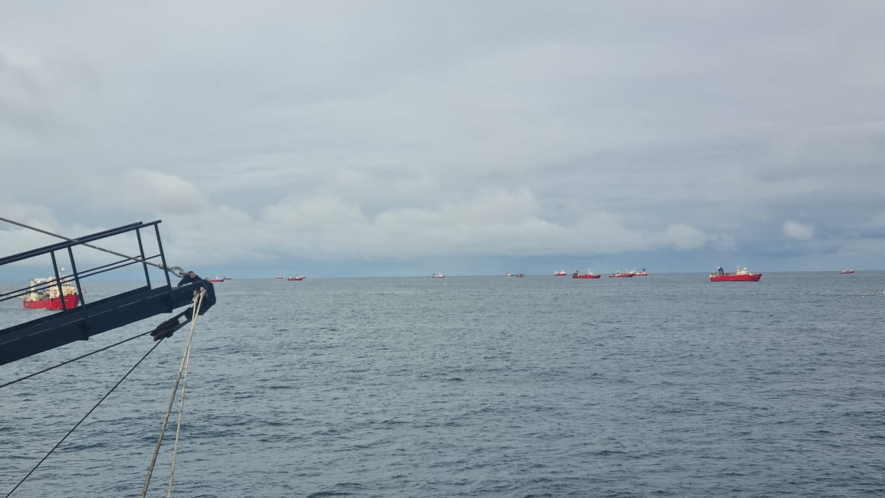 Langostino. Suspensión temporal de pesca en Subáreas 7 Este, 11 y 15