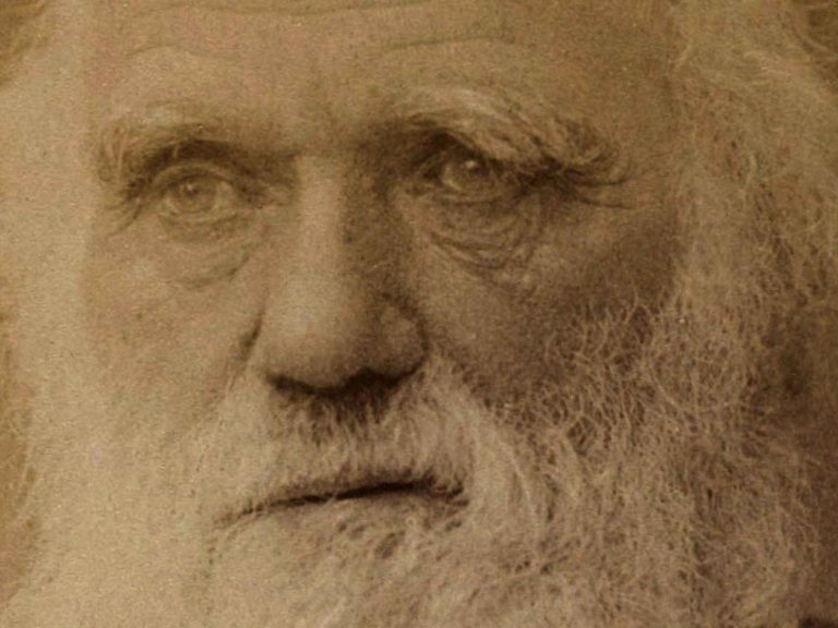 Argentina y un nuevo paradigma económico: Un camino hacia la eficiencia y la meritocracia