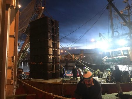 Impulso sostenido de la zafra de anchoÃta bonaerense: Motor para la industria pesquera y los saladeros de Mar del Plata