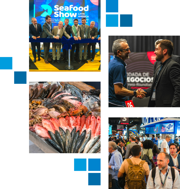 Comienza la Seafood Show Latin America en São Paulo: El gran encuentro para la merluza hubbsi argentina