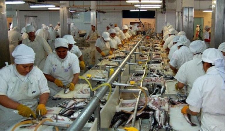 Denuncian precarizaci贸n laboral en la industria pesquera de Santa Cruz