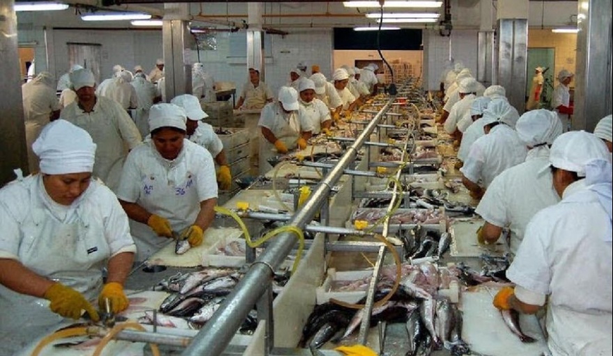 Denuncian precarización laboral en la industria pesquera de Santa Cruz