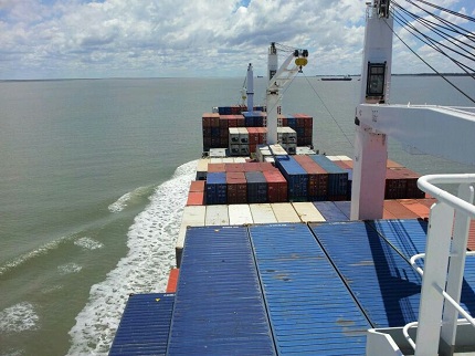 Argentina fortalece su liderazgo en exportación de langostinos, con ingresos récord y expansión en nuevos mercados