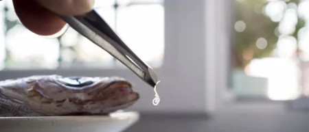 Innovaci贸n en la lucha contra el Anisakis: Pulsos el茅ctricos para productos pesqueros de calidad