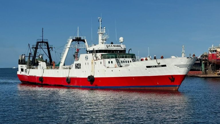 Cancelan exenci贸n de practicaje a buques mayores a 4.90 metros de calado