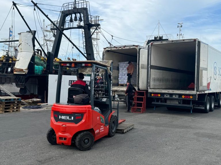 Ajuste del 5% en el servicio de estiba asegura competitividad y eficiencia en el puerto de Mar del Plata