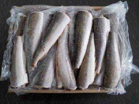 Consejo Federal Pesquero. Sesi贸n semanal, Acta Nro. 23/2024. Adelantaron definici贸n sobre la merluza hubbsi