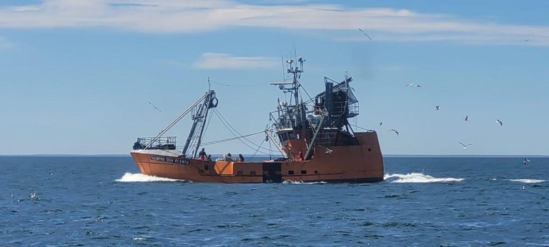 Chubut. Avances en la prospecci贸n de langostino revitalizan expectativas de apertura a la pesca comercial