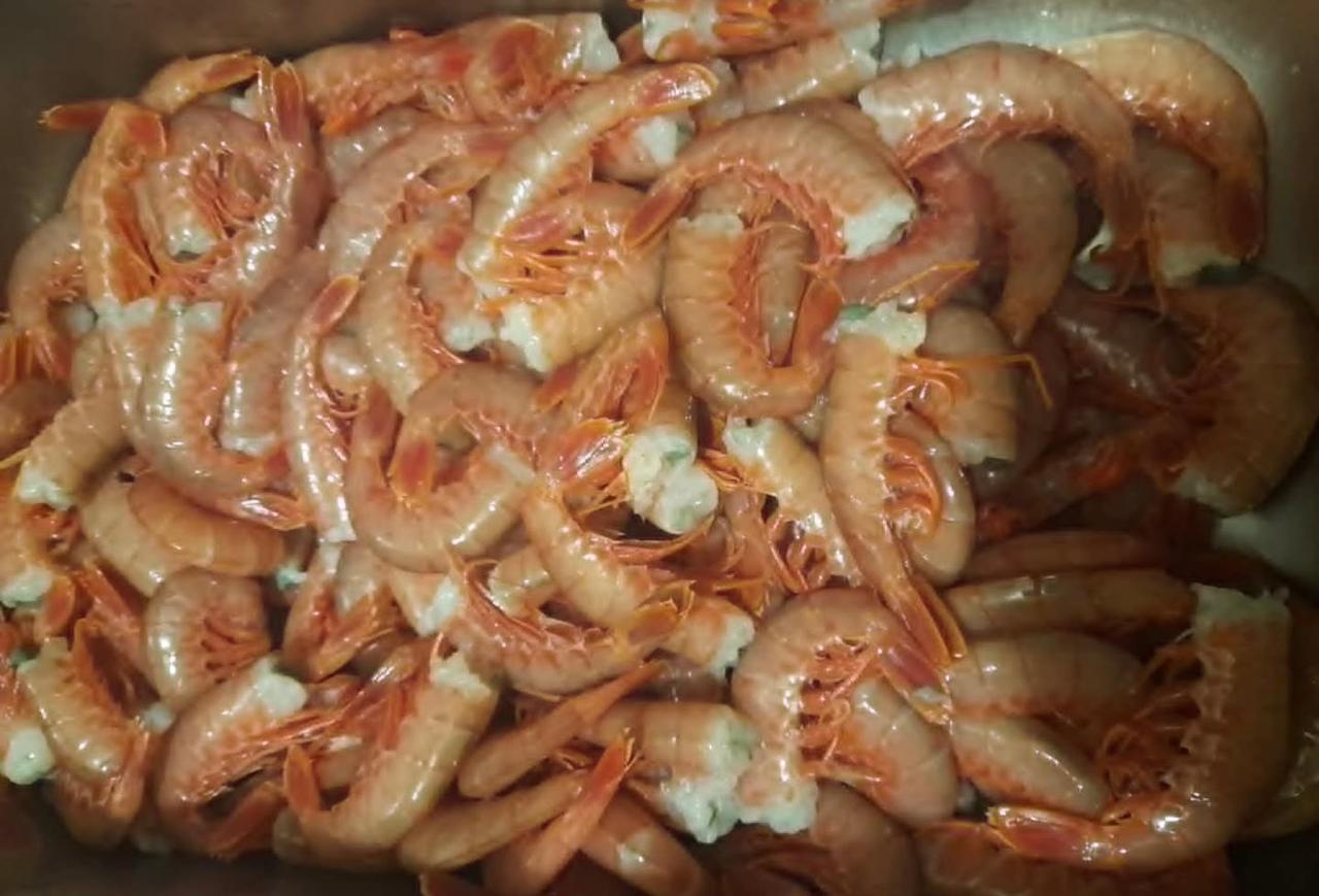 Langostino Chubut. Noviembre con solidez y contundencia de descargas alimentan el complejo manufacturero