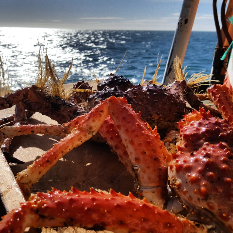 Centolla. El Consejo Federal Pesquero determin贸 la Captura Biol贸gicamente Aceptable y gesti贸n para la temporada 2024-2025