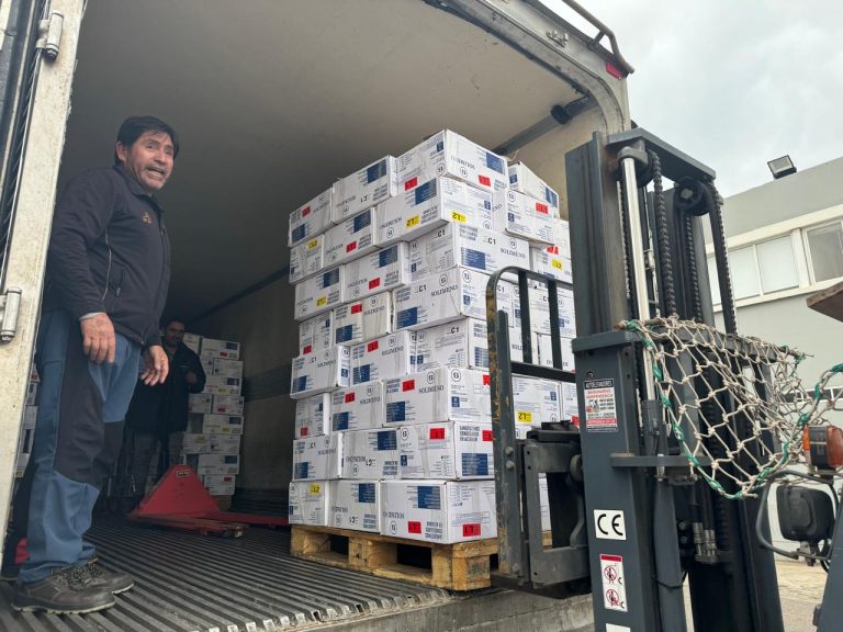 21 de Diciembre DÃa del Estibador Portuario: El pilar invisible que impulsa el dinamismo pesquero