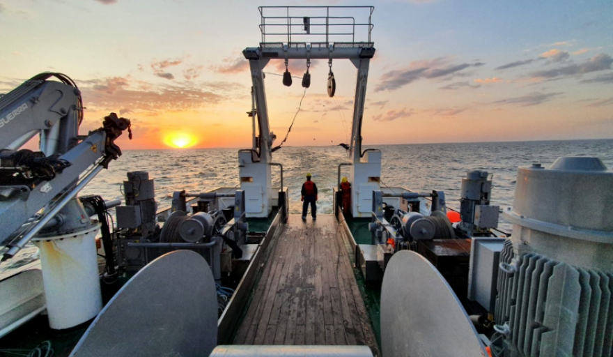 Consejo Federal Pesquero. Sesión semanal, Resolución Nro.13 y 14/2024. Fijó Capturas Máximas Permisibles para el año 2025