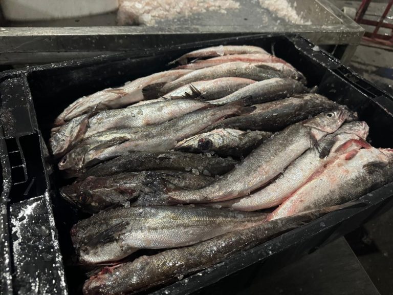 Consejo Federal Pesquero. Sesi贸n semanal, Acta Nro. 25/2024. Reasignaci贸n de CITC de Merluza Hubbsi