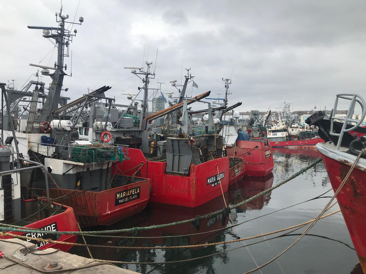 Preocupante II. La histórica pesca de Mar del Plata vapuleada en el CFP