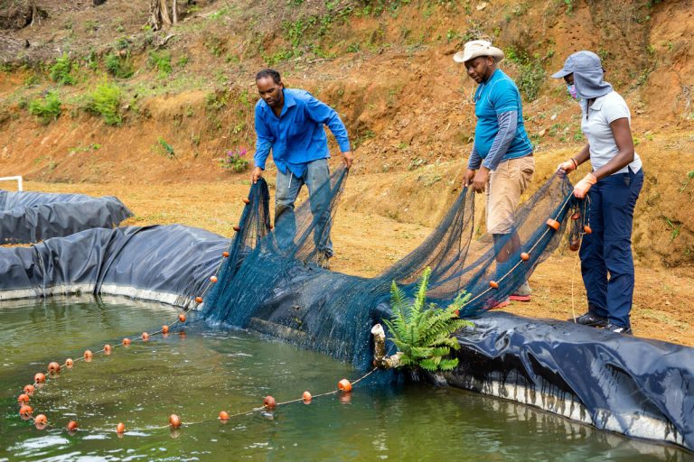 Para la FAO, la acuicultura es clave en la lucha contra el hambre global