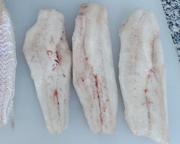 Exportaciones de Merluza Hubbsi en un contexto de adaptación y retos globales