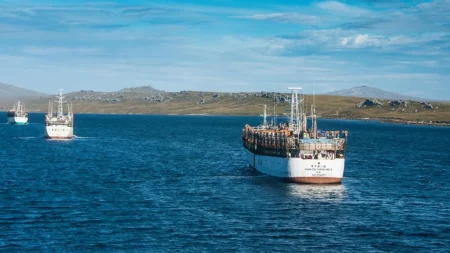 Argentina mar铆tima bajo presi贸n: Flota china pescando en aguas linderas y la creaci贸n del Comit茅 Mar铆timo en Malvinas