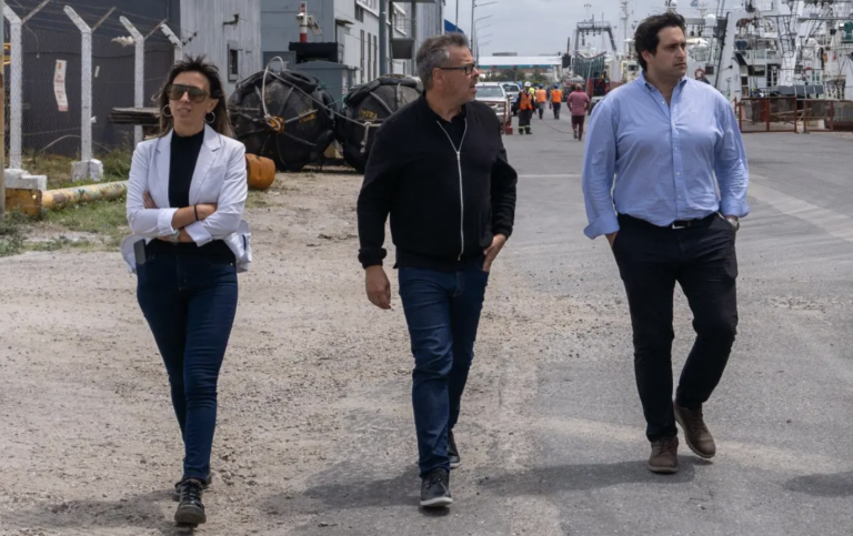 Avance en la planificación estratégica del Puerto de Mar del Plata: Un paso clave hacia el futuro reordenamiento con mayores participantes