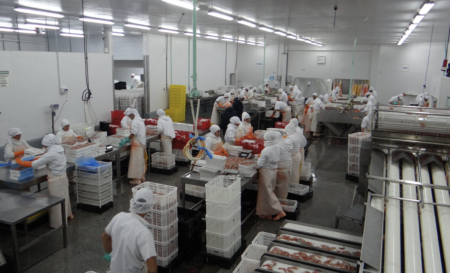 Grupo Veraz expone situaci贸n cr铆tica al STIA y solicita medidas urgentes