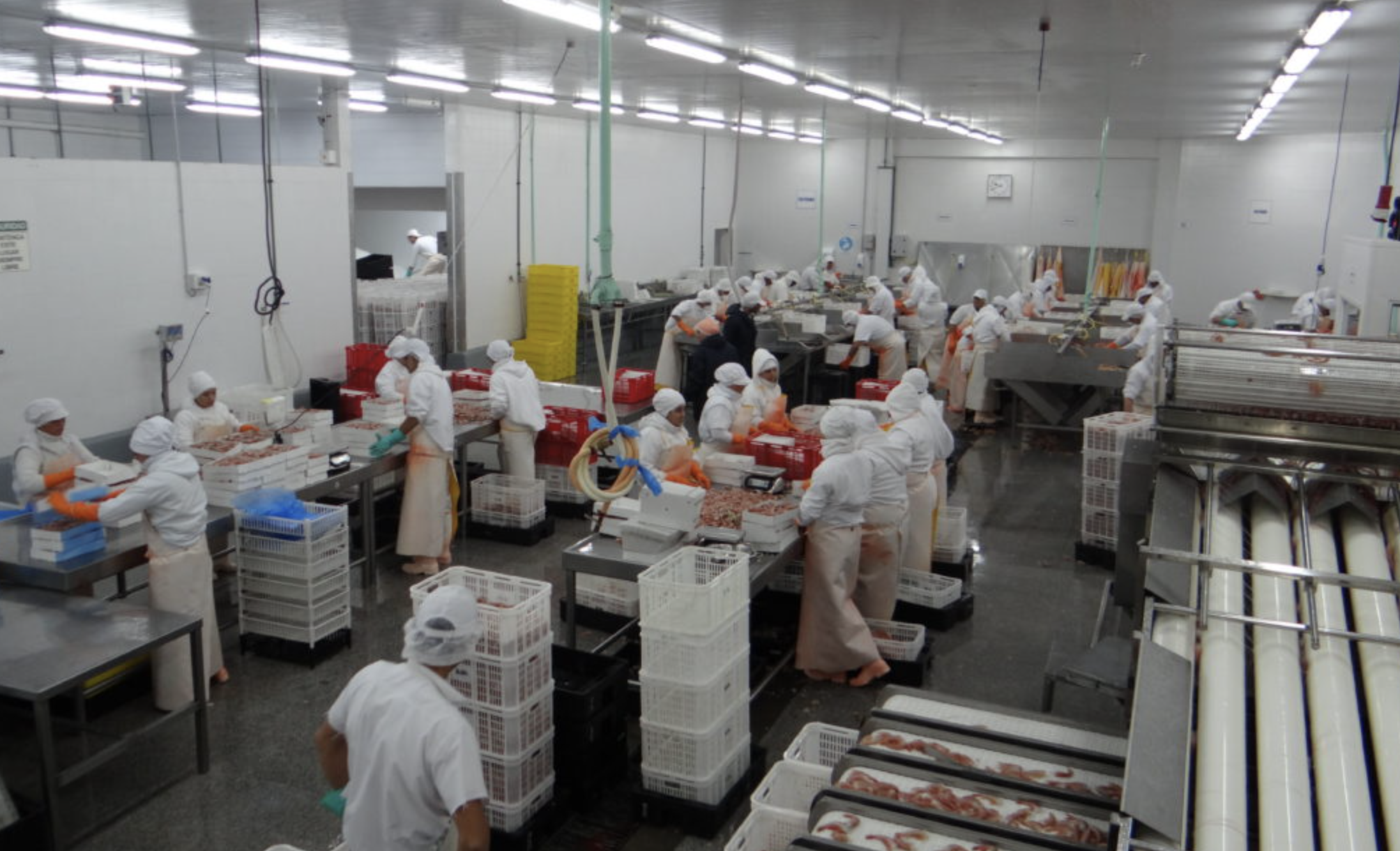 Grupo Veraz expone situaci贸n cr铆tica al STIA y solicita medidas urgentes