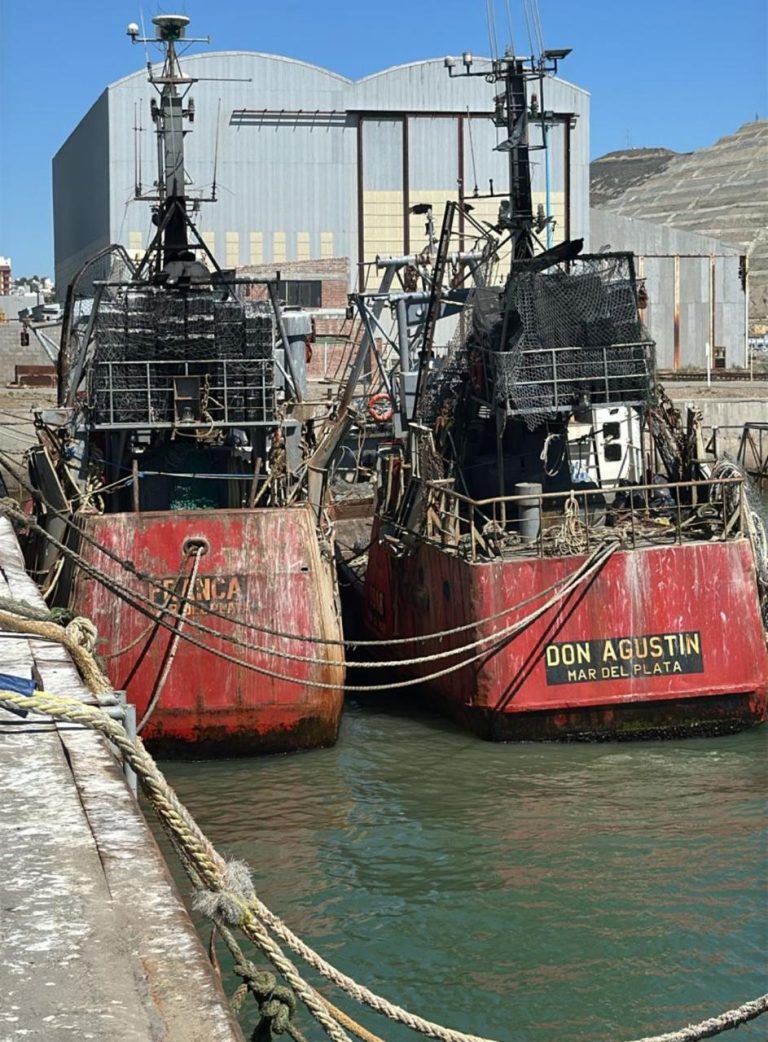 El ajuste del cr铆tico sector pesquero argentino: Una ley natural ineludible