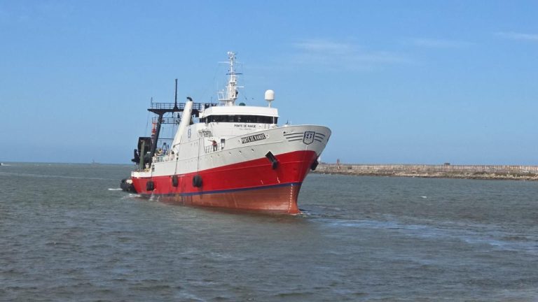 Inicio de la Temporada de Pesca 2025: Esfuerzo y esperanza en el Atlántico Sur