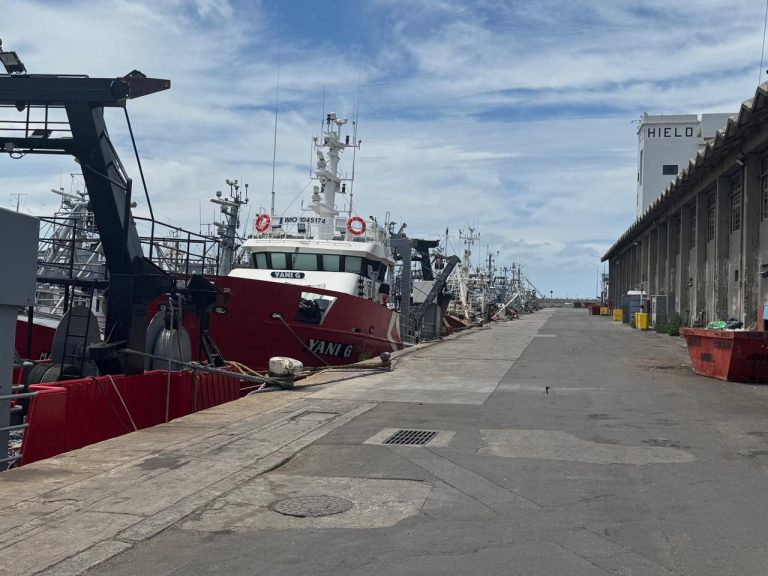 El Consorcio Portuario anunció limpieza en frentes de muelles