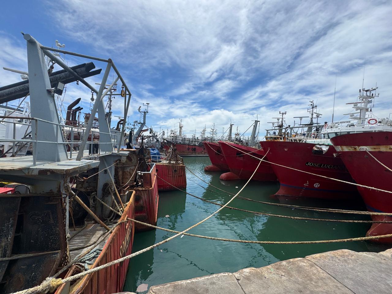 Semana clave para la pesca en Mar del Plata: Desafíos y expectativas para el inicio 2025