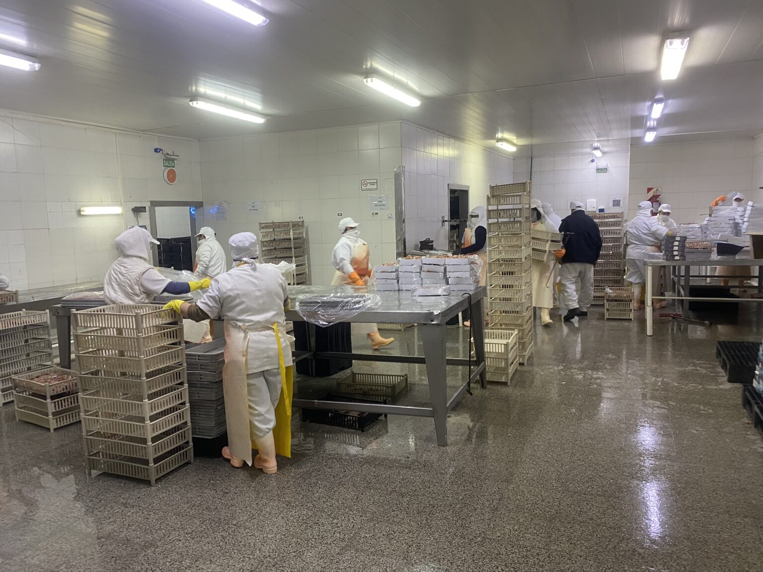 Trabajadores de pesquera Puerto Rawson de Trelew se movilizan por despidos: se tiraron 4000 kilos de langostino