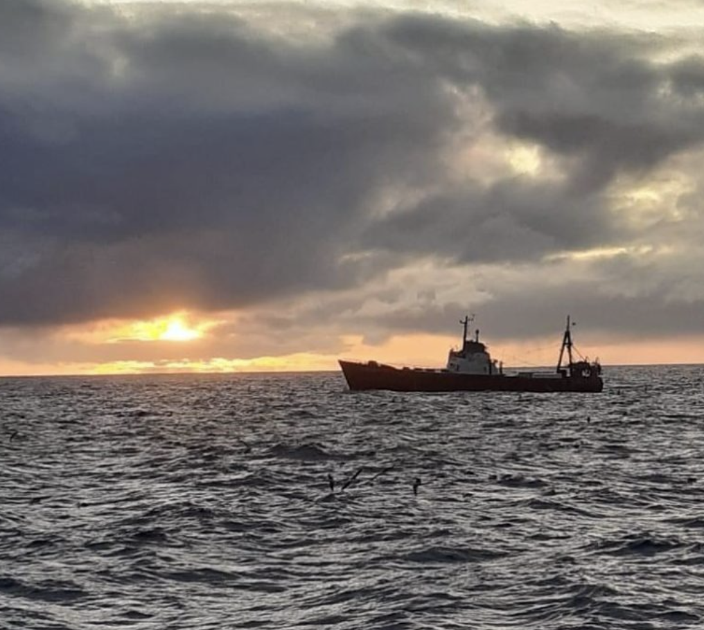 Primero de enero, nuevo ciclo: Esperanza, adaptación y transformación para la industria pesquera extractiva, manufacturera y exportadora