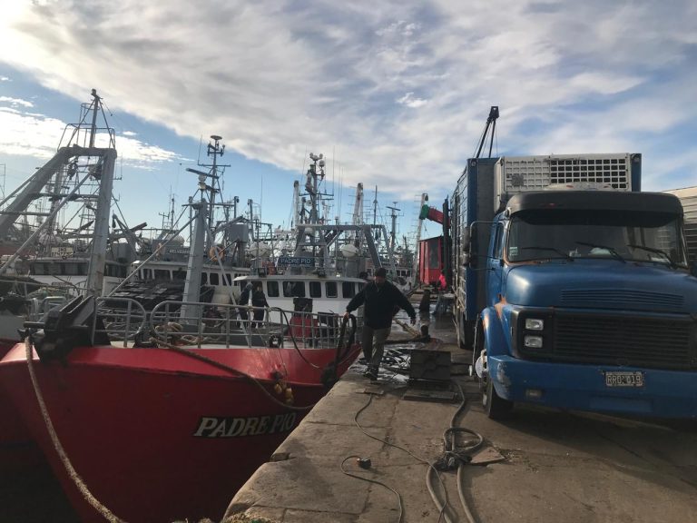 Mar del Plata. Primera descarga de merluza 2025: Preocupaci贸n por rentabilidades en el sector