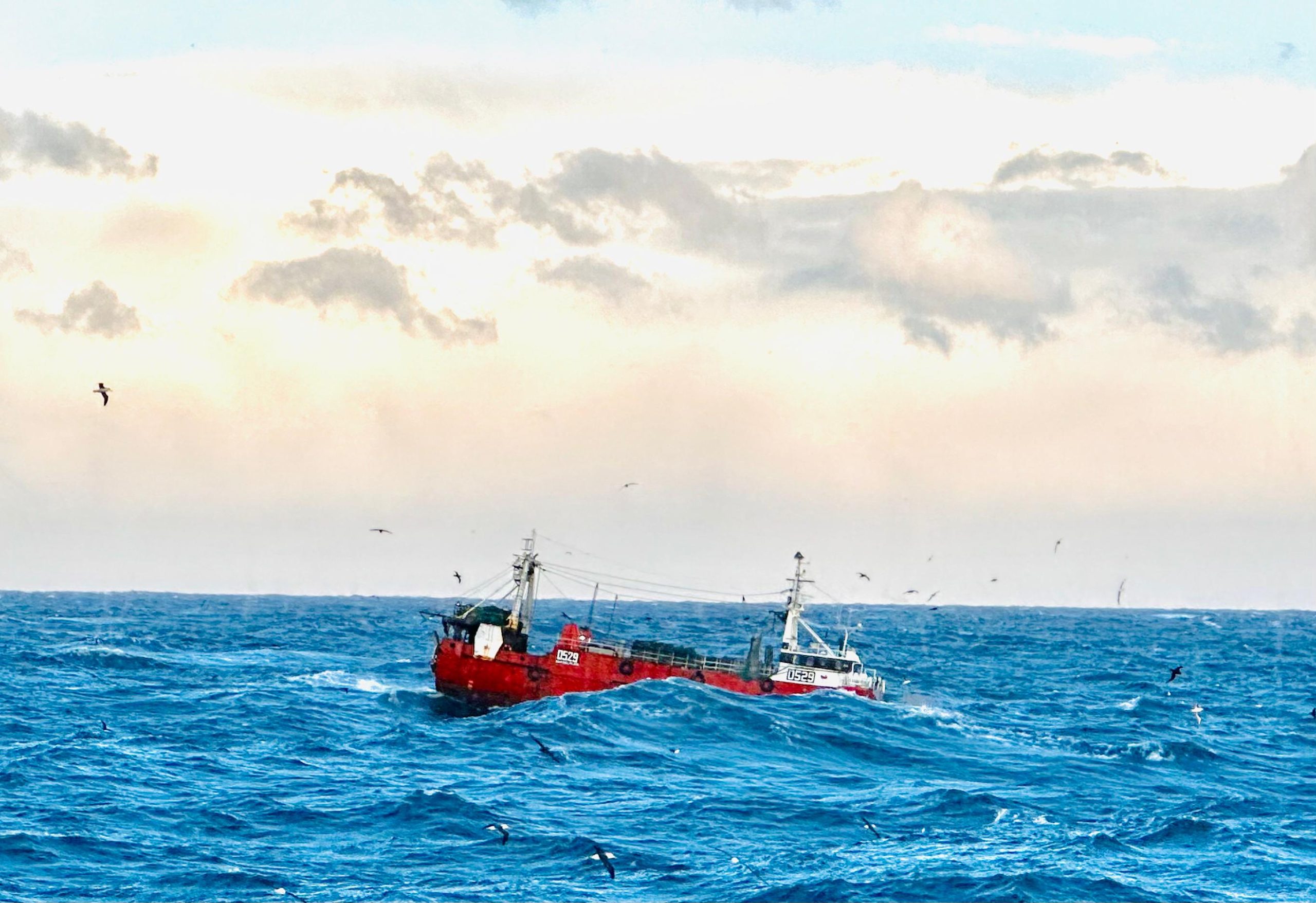 La Competencia Empresarial: Un modelo acorde que diferencia la igualdad