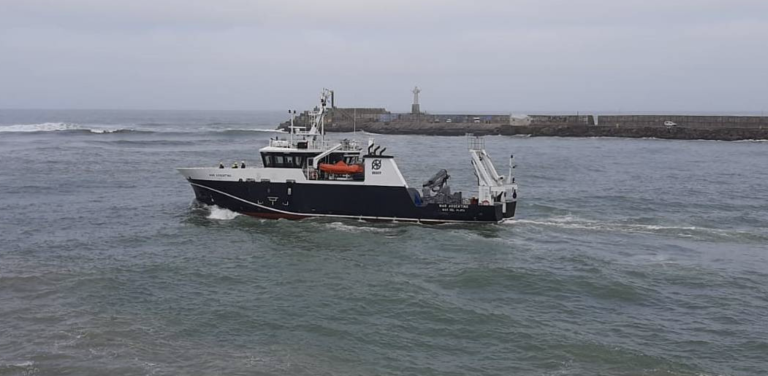 INIDEP eval煤a juveniles de ancho铆ta durante el verano con el BIP Mar Argentino