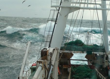 Capitanes rechaza la apertura del Golfo San Jorge a la pesca de langostino