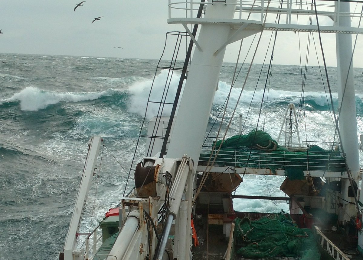 Capitanes rechaza la apertura del Golfo San Jorge a la pesca de langostino