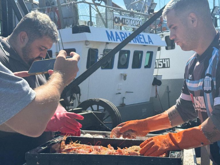 Aparece langostino incidental de excelente calidad comercial en la pesca objetivo de merluza fuera de la ZVPJM