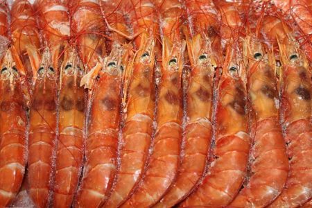AGROPEZ SA obtiene el Sello 芦Alimentos Argentinos禄 para sus langostinos enteros congelados a bordo