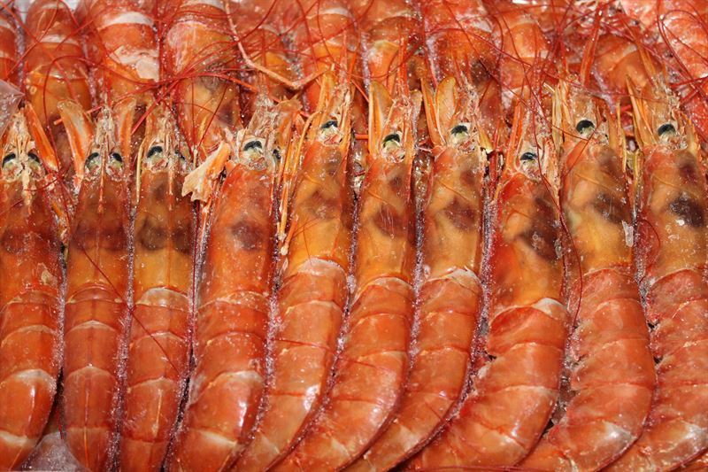 AGROPEZ SA obtiene el Sello «Alimentos Argentinos» para sus langostinos enteros congelados a bordo