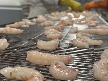 Chubut reclama el fin de las retenciones al sector pesquero